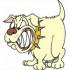 Beware of Dog Beware of Dog