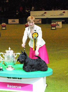 Crufts Reserve Best in Show Crufts Reserve Best in Show