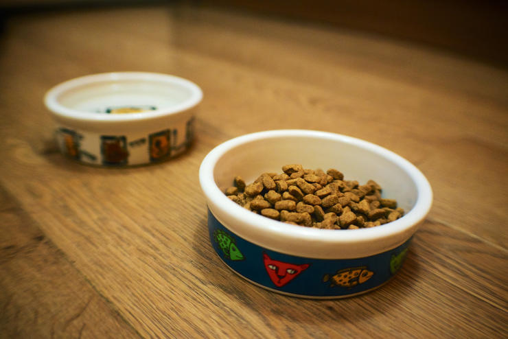 Purina dog food in a bowl