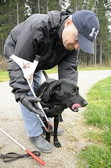 guide-dog_135075