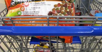Dog food in supermarket cart