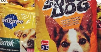 Large bags of dry dog food