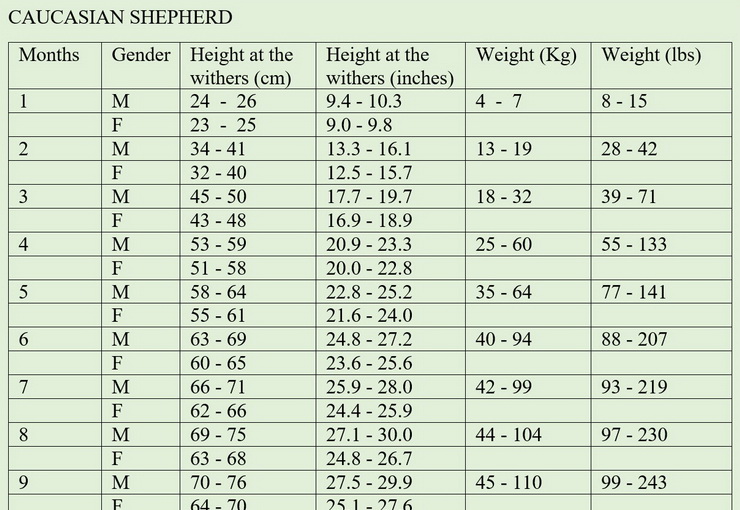 Great Pyrenees Feeding Chart