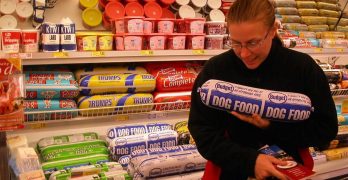 A buyer with a tube of cheap low-protein dog food