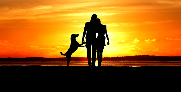 Dating couple with a dog at sunset