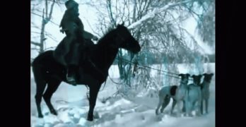 Wolf Hunting in Russia documentary screenshot