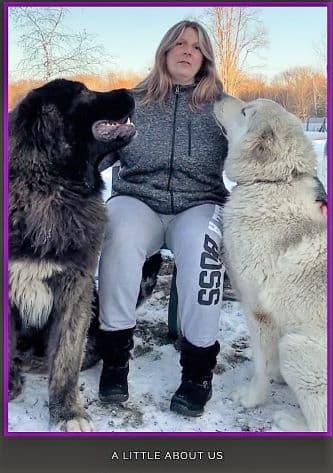 Ericka Johnson Caucasian Shepherd US breeder with 2 dogs