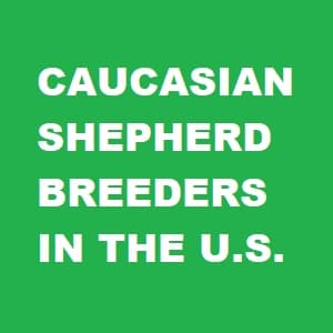 Caucasian Ovcharka breeders banner