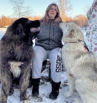 Dogs and breeder from Royal Caucasian Shepherds USA