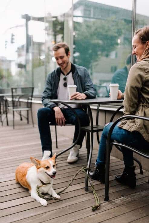 Man, woman, dog at a table in a cafe