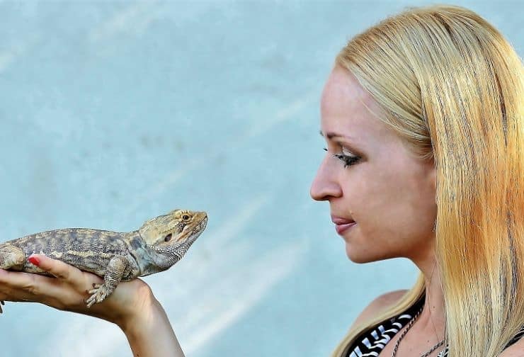 Woman with a Bearded Dragon