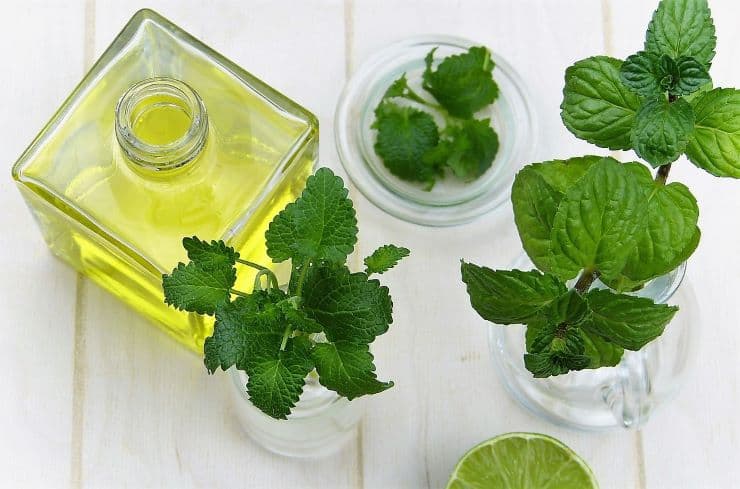 mint leaves and oil bottle